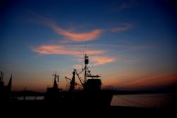 Waiting for the night dive.
Nikon D80 by Andy Kutsch 
